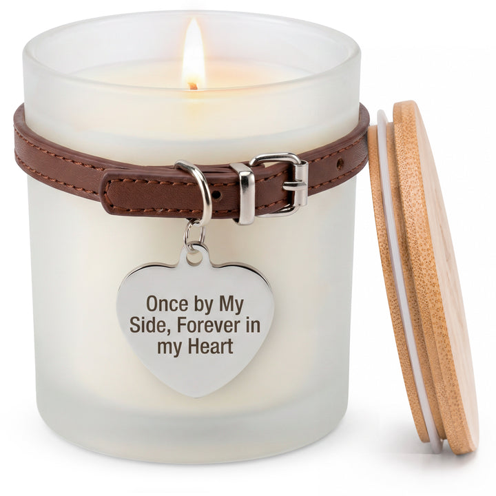 Pet Memorial Gifts for Dogs & Cats, Loss of Dog Sympathy Gift Candle