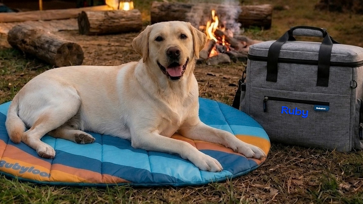 A yellow Labrador retriever lies on a blue and orange camp mat outdoors near a campfire, with a gray branded cooler bag beside it. The dog is the main subject in a real outdoor environment, so this is Lifestyle rather than Product/Packaging.