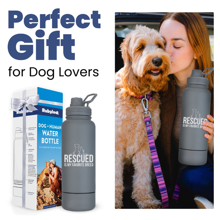 Water Bottle with Dog Bowl & Cat-Themed Stylus Pen Set