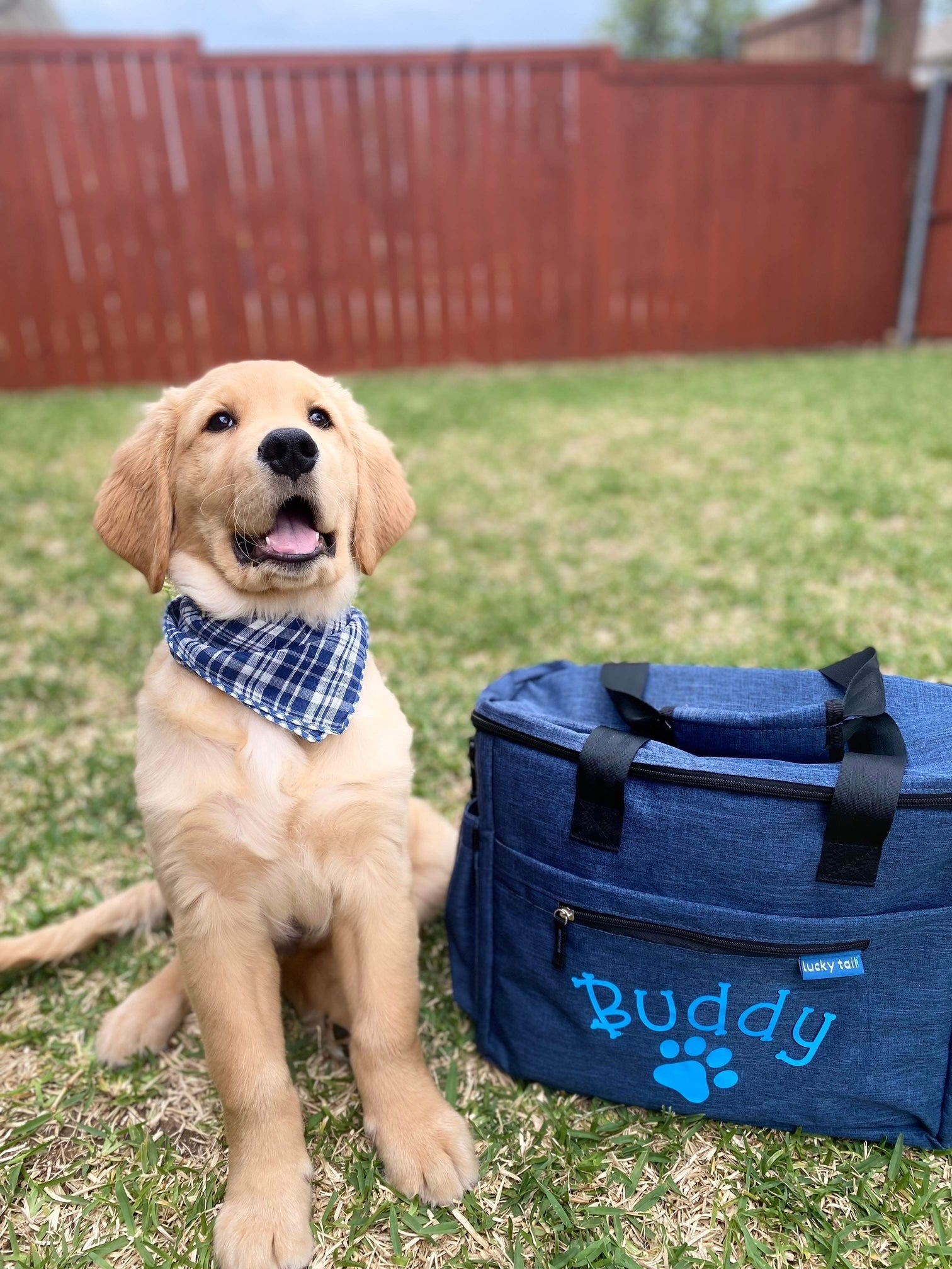 Dog with Bag