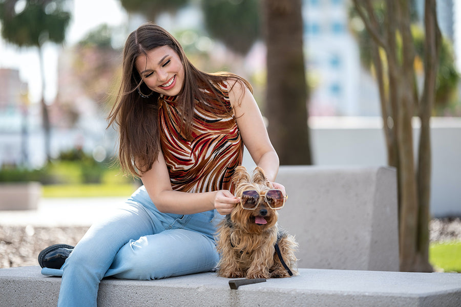 12 Must haves when it comes to the best pet gear for your furry friends this summer
