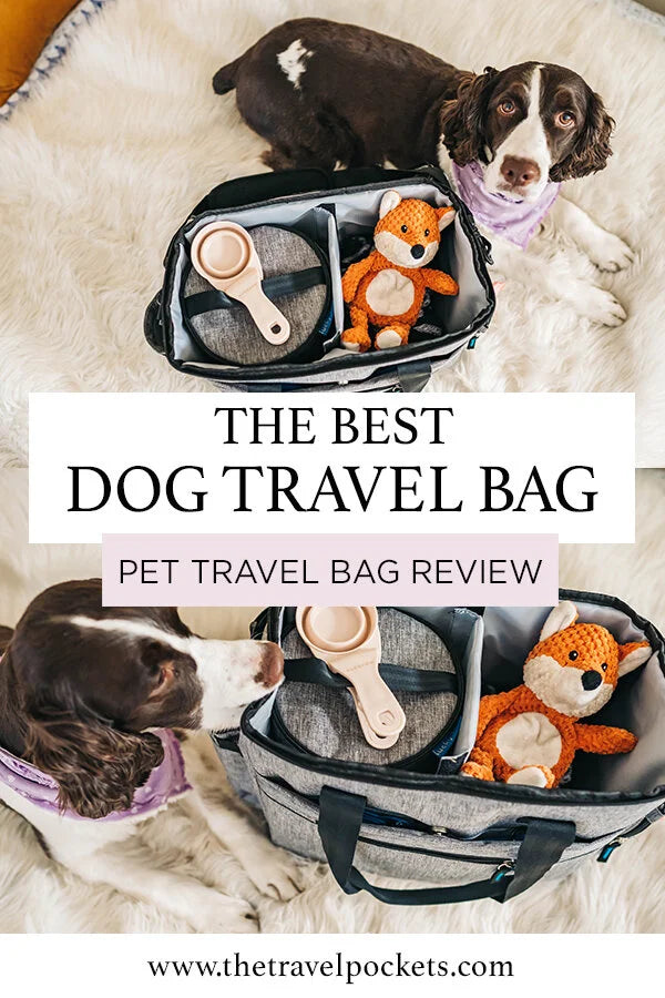 The Best Travel Organizer Bag for your Dog