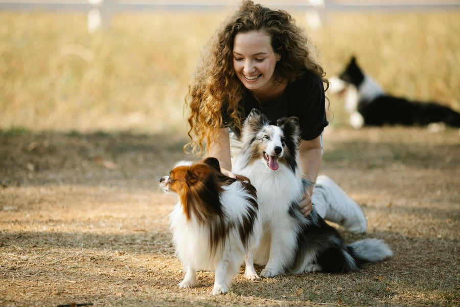 The Best Dog and Cat Accessories and Products Trending in Pet Care