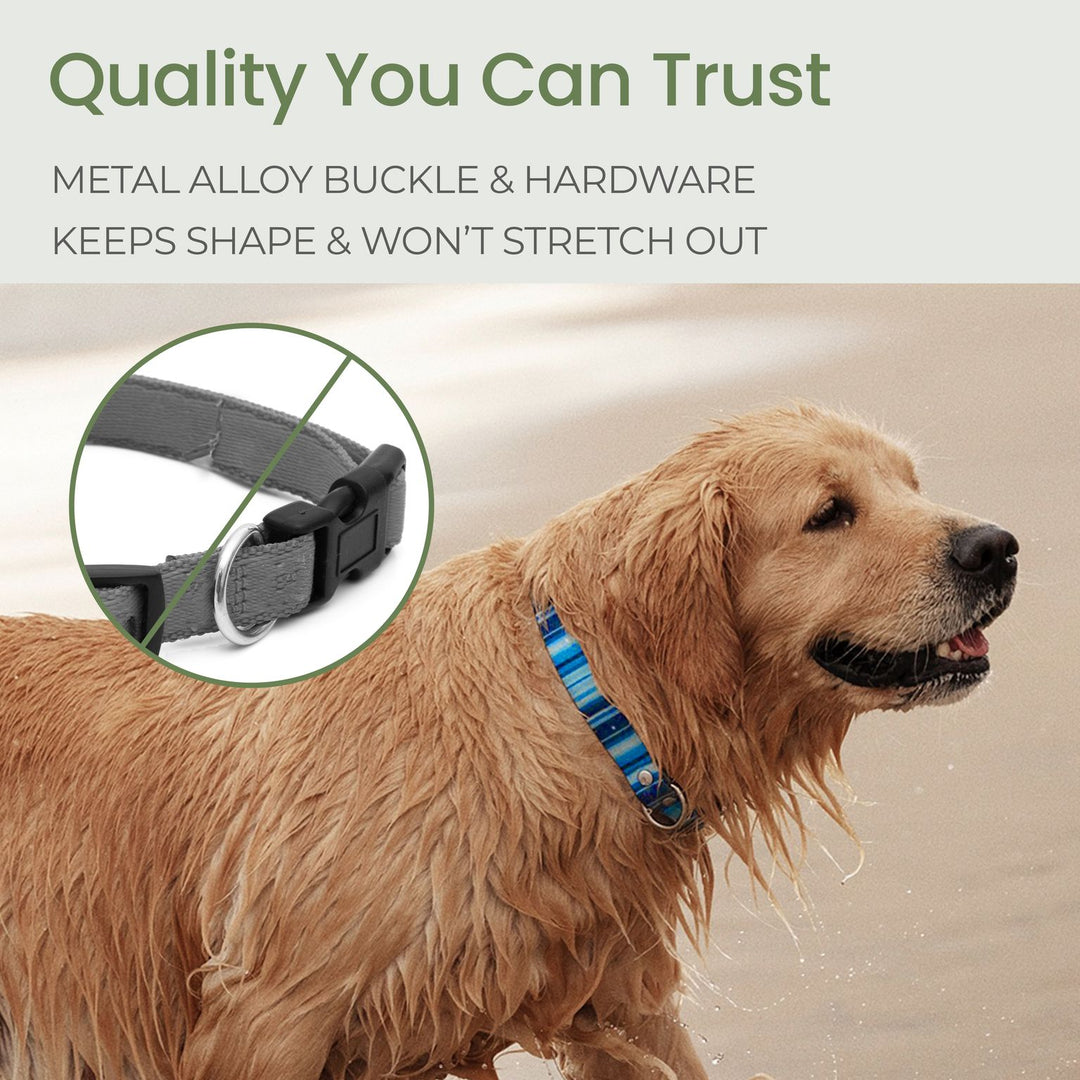 Washable, Waterproof & Stink Proof Dog Collars