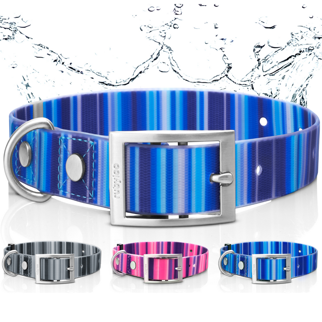 Waterproof Dog Collars: Nature-Proof No-Stink Collars for Dogs